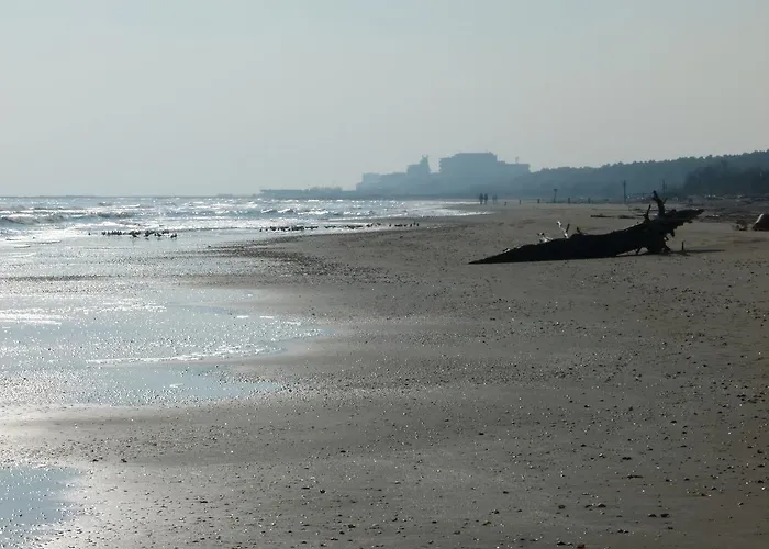 Antares 리도 디 클라세